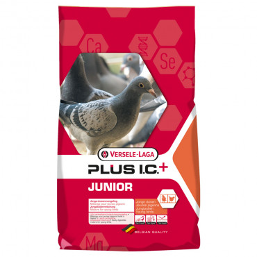 Junior Plus IC+ - Alimento...