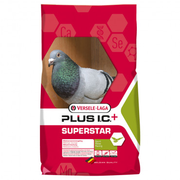 Superstar Plus IC+ -...