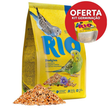 Alimento diário para...