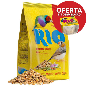 Alimento diário para aves...