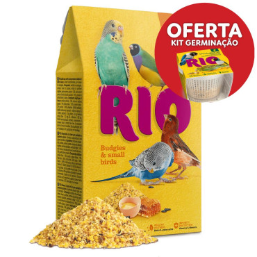 Papa de ovo para periquitos...