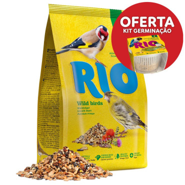 Alimento diário para aves...