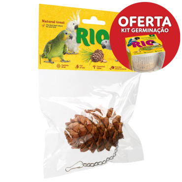 Pinha de cedro para aves - RIO