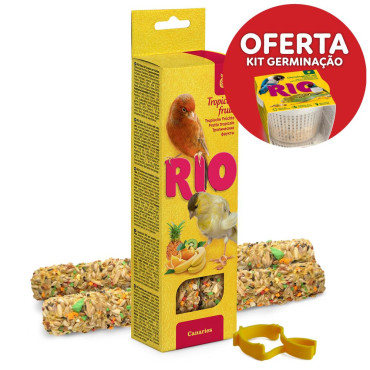 Sticks de fruta tropical...