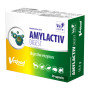 Amylactiv Digest - Suporte...