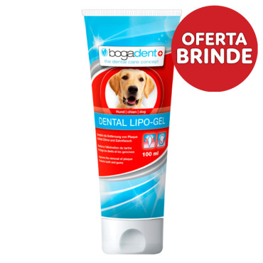 bogadent® Lipo Gel