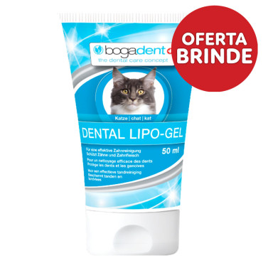 bogadent® - LIPO-GEL 50ml