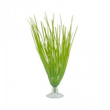 Marina Hairgrass 12,5cm c/ Ventosa