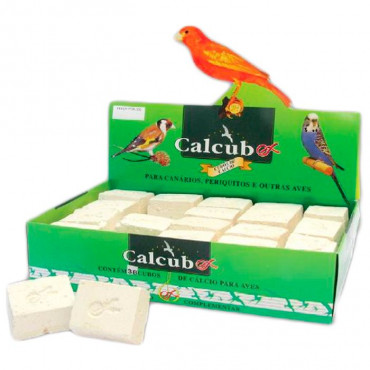 CALCUBEX - Cubos de Cálcio BICO DURO