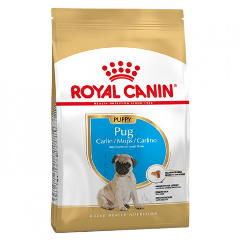 Royal Canin - Pug Puppy - Ração Seca Cão | Goldpet