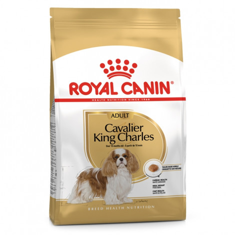 Royal Canin - Cavalier King Charles