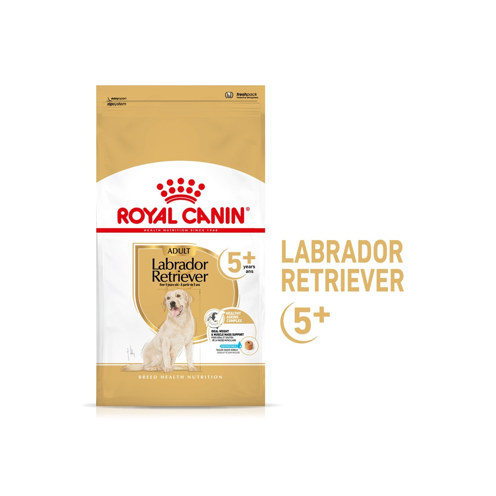 Royal Canin Labrador Retriever 5+ Cão Adulto