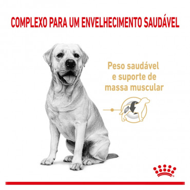 Royal Canin Labrador Retriever 5+ Cão Adulto