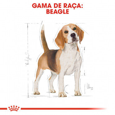 Royal Canin - Beagle