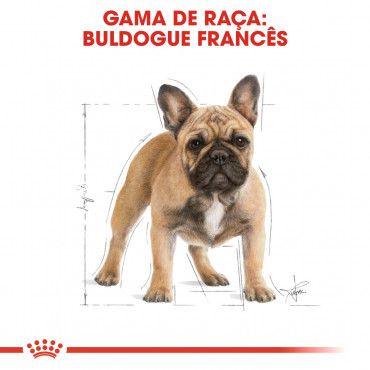 Royal Canin - French Bulldog - Goldpet