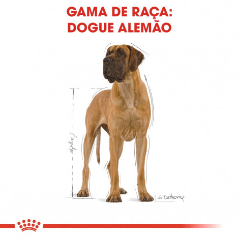 Royal Canin - Great Dane