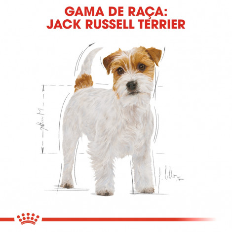 Royal Canin - Jack Russell