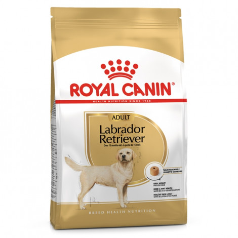 Royal Canin - Labrador Retriever