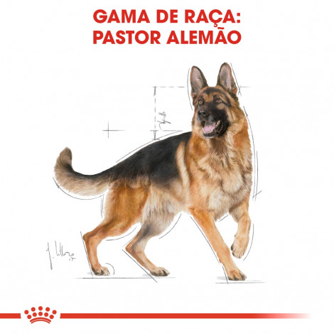 Royal Canin - German Shepherd
