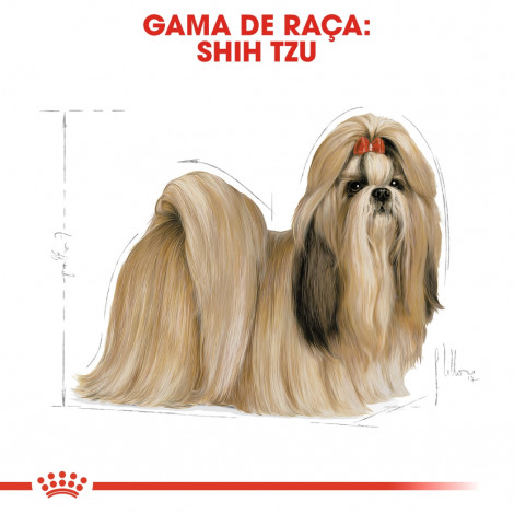 Royal Canin - Shih Tzu