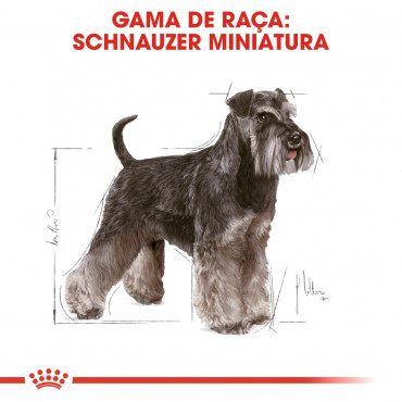 Royal Canin - Schnauzer Miniature