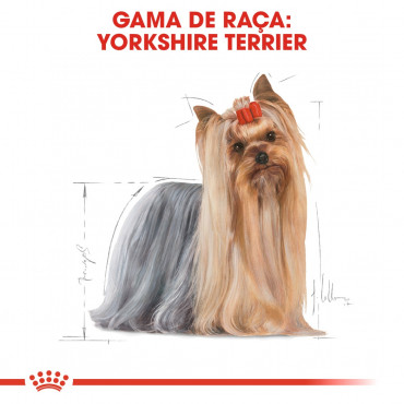 Royal Canin - Yorkshire Terrier - Goldpet