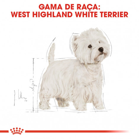 Royal Canin - West Highland White Terrier