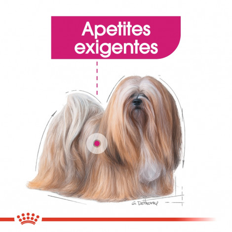Royal Canin - Mini Exigent - Goldpet