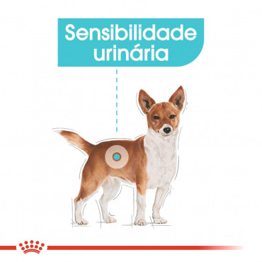 Royal Canin Urinary Care Cão Mini Adulto