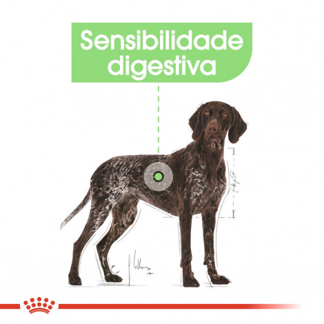 Ração para cão Royal Canin Digestive Care Maxi