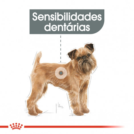 Royal Canin CCN Dental Care Cão Mini