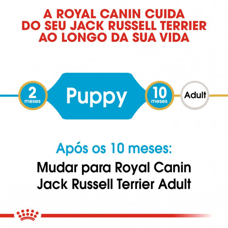 Royal Canin - Jack Russell Terrier Puppy | Goldpet