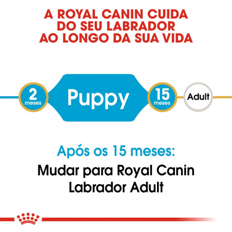 Royal Canin - Labrador Retriever Puppy | Goldpet