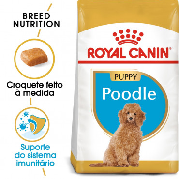 Royal Canin - Poodle Puppy - Ração de Cão | Goldpet
