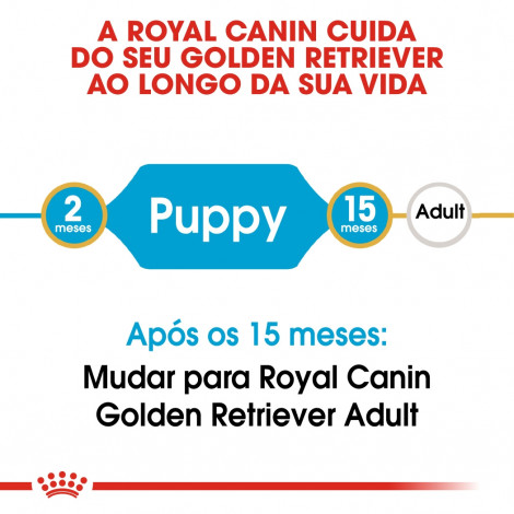 Royal Canin - Golden Retriever Puppy