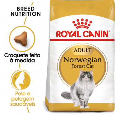 Ração para gato Royal Canin Norwegian Forest