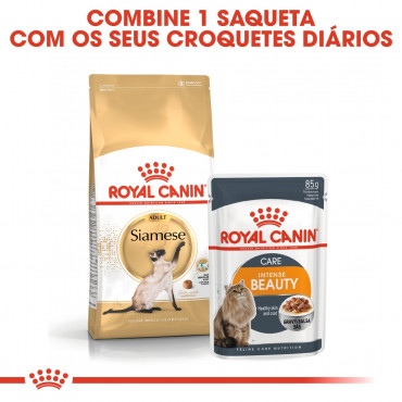 Ração para gato Royal Canin Siamese