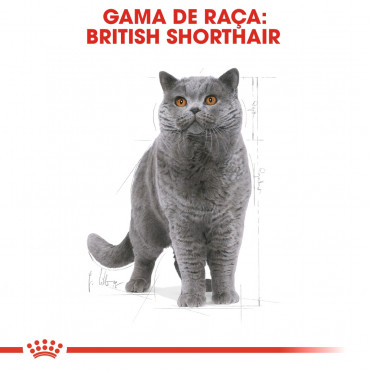 Ração para gato Royal Canin British Shorthair 2Kg