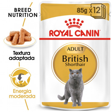 Ração para gato Royal Canin Wet British Shorthair