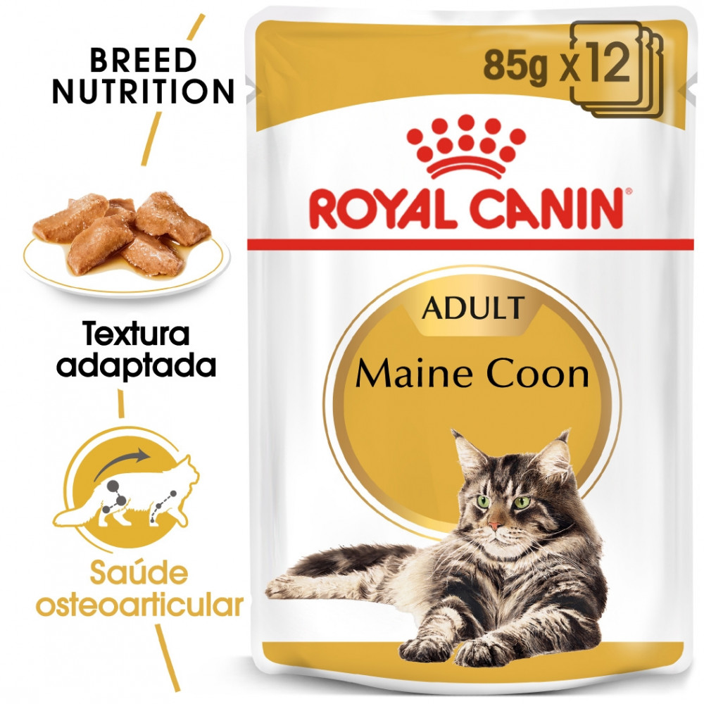Ração para gato Royal Canin Wet Maine Coon