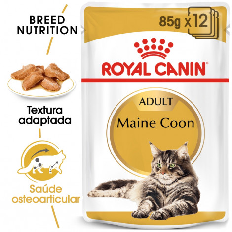 Ração para gato Royal Canin Wet Maine Coon
