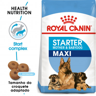 Royal Canin - Maxi Starter Mother & Babydog - Goldpet