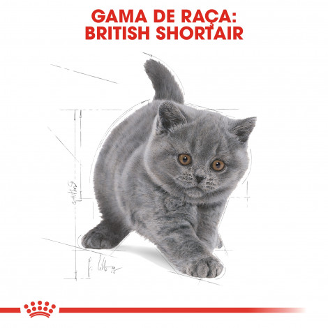 Ração para gato Royal Canin Kitten British Shorthair 2Kg