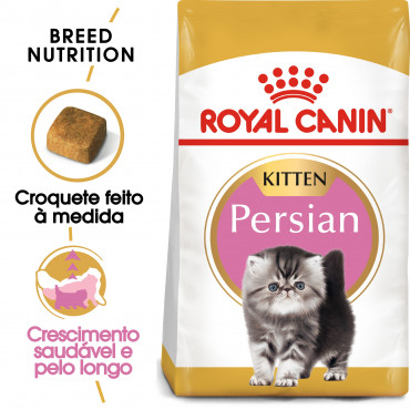 Ração para gato Royal Canin Kitten Persian