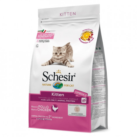 Schesir - Kitten