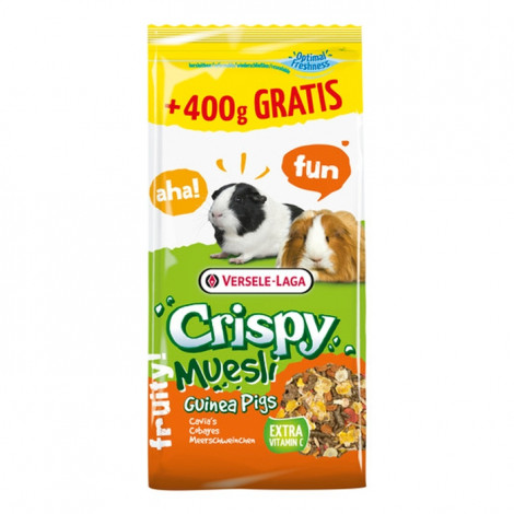Crispy Muesli - Guinea Pigs
