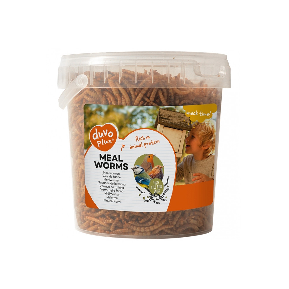 Duvo+ Meal Worms Snacks para aves selvagens