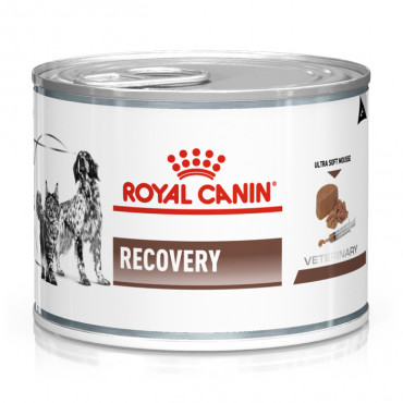 Royal Canin - Recovery para Cães e Gatos WET