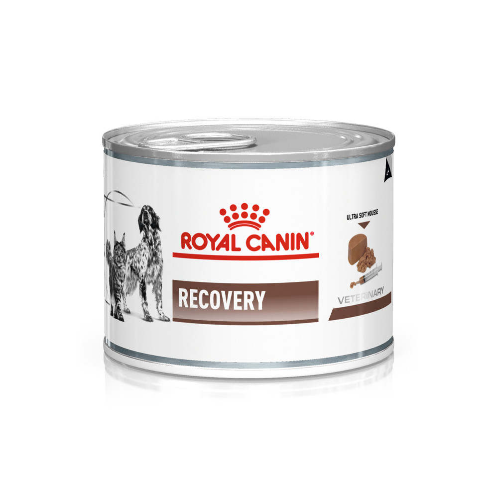 Royal Canin - Recovery para Cães e Gatos WET