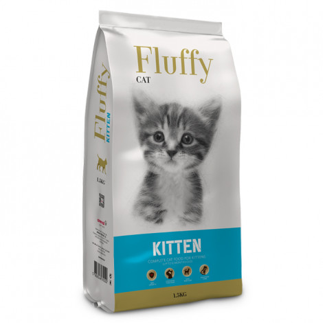 Fluffy Gato Kitten